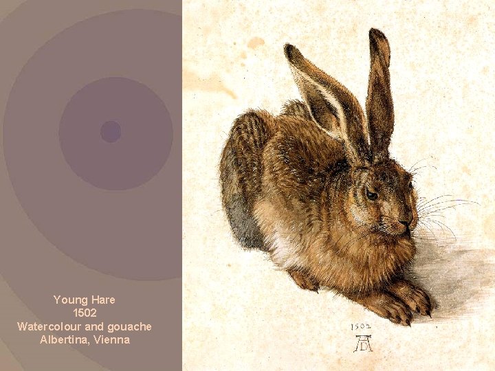 Young Hare 1502 Watercolour and gouache Albertina, Vienna 