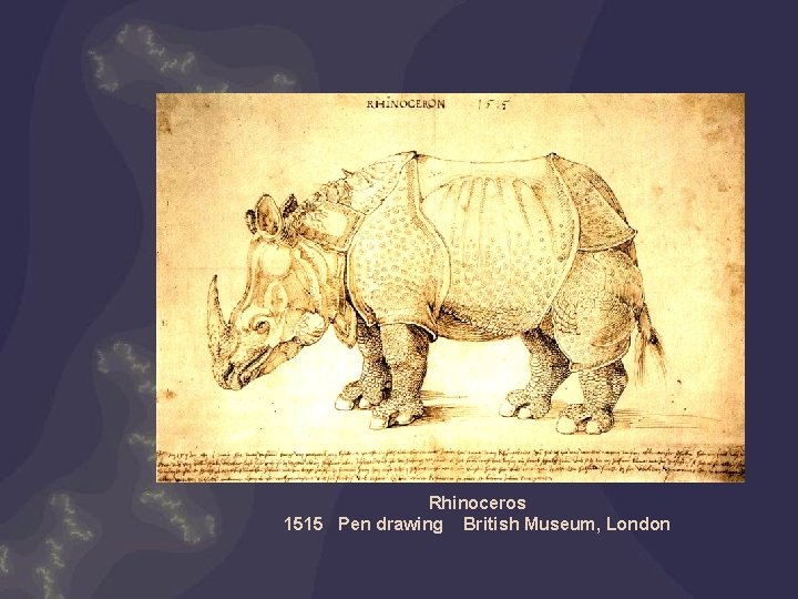 Rhinoceros 1515 Pen drawing British Museum, London 