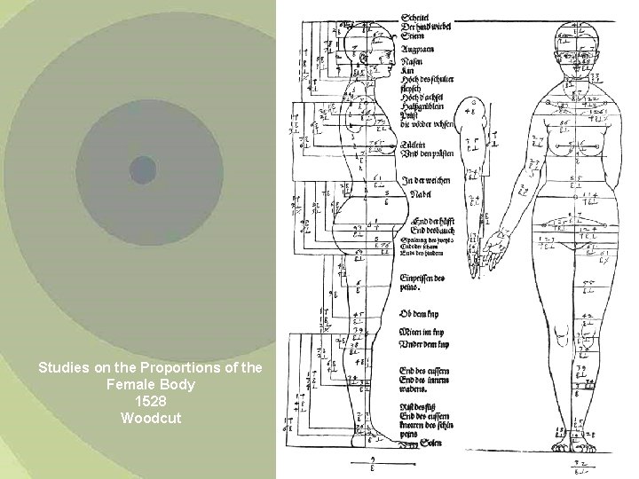 Studies on the Proportions of the Female Body 1528 Woodcut 