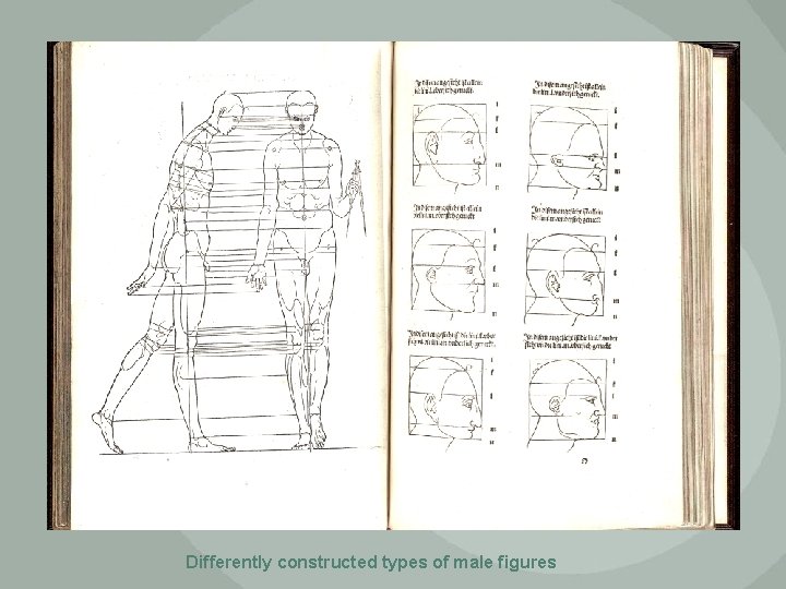 Differently constructed types of male figures 