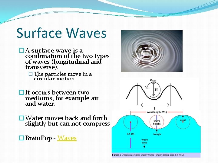 Surface Waves �A surface wave is a combination of the two types of waves