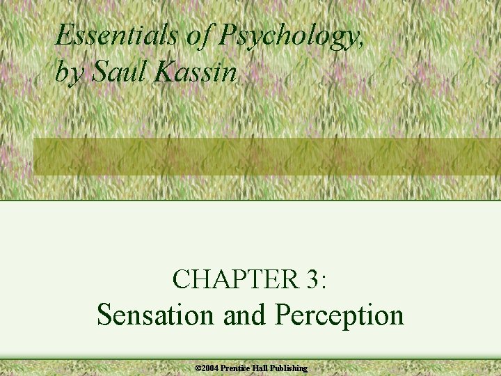 Essentials of Psychology, by Saul Kassin CHAPTER 3: Sensation and Perception © 2004 Prentice