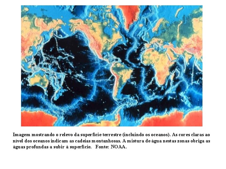 Imagem mostrando o relevo da superfície terrestre (incluindo os oceanos). As cores claras ao