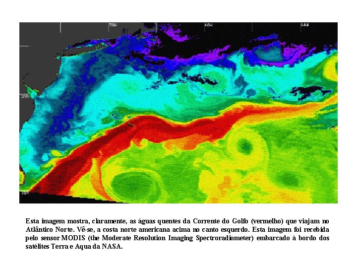 Esta imagem mostra, claramente, as águas quentes da Corrente do Golfo (vermelho) que viajam