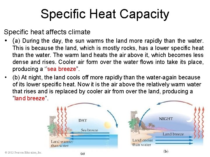 Specific Heat Capacity Specific heat affects climate • (a) During the day, the sun