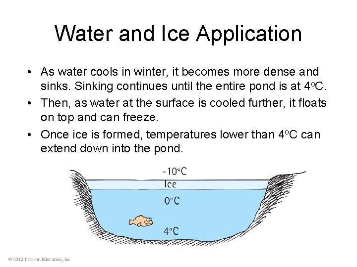 Water and Ice Application • As water cools in winter, it becomes more dense