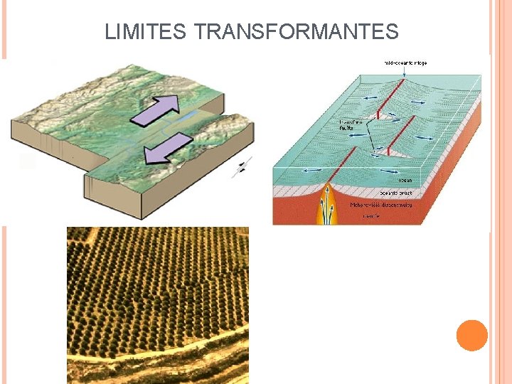 LIMITES TRANSFORMANTES 