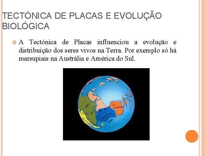 TECTÓNICA DE PLACAS E EVOLUÇÃO BIOLÓGICA A Tectónica de Placas influenciou a evolução e