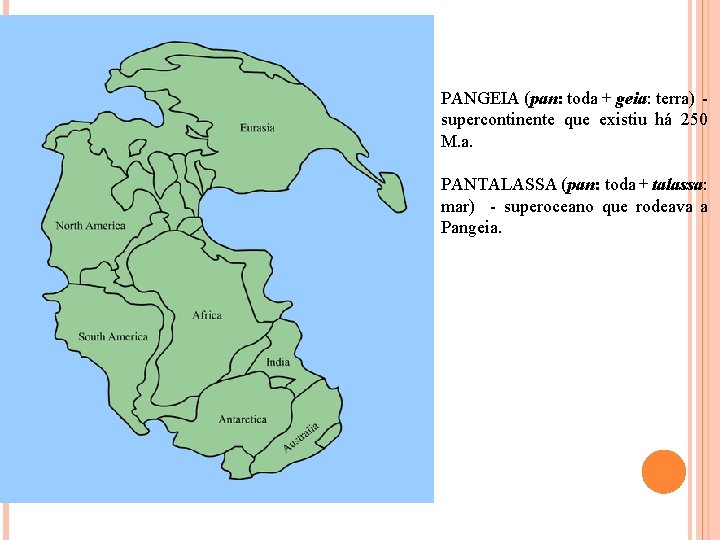 PANGEIA (pan: toda + geia: terra) supercontinente que existiu há 250 M. a. PANTALASSA