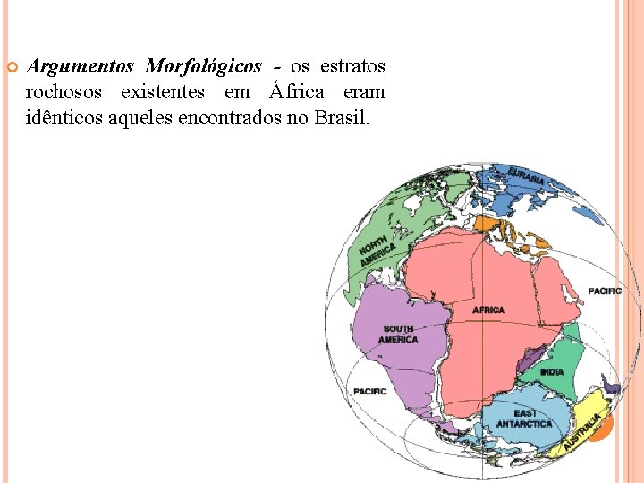  Argumentos Morfológicos - os estratos rochosos existentes em África eram idênticos aqueles encontrados