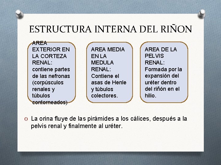 FUNCION VALORACION Y MEDIDAS TERAPEUTICAS DEL SISTEMA URINARIO