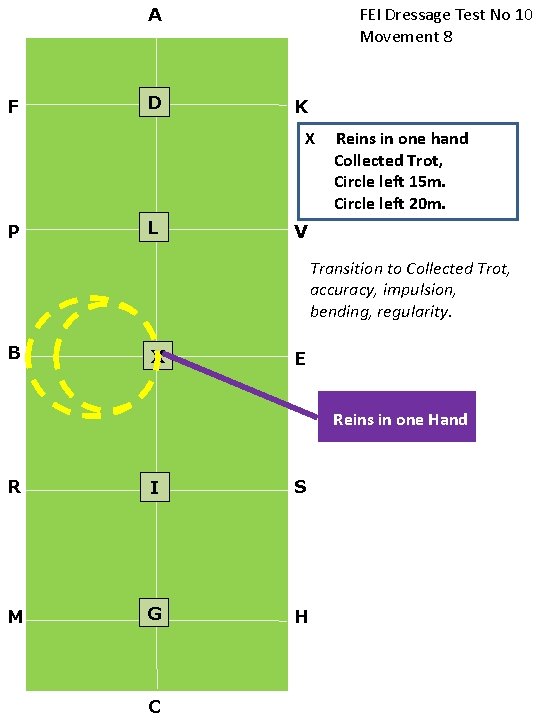 FEI Dressage Test No 10 Movement 8 A F D K X P L