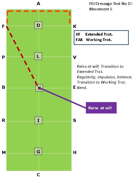 FEI Dressage Test No 10 Movement 9 A F D K XF Extended Trot.