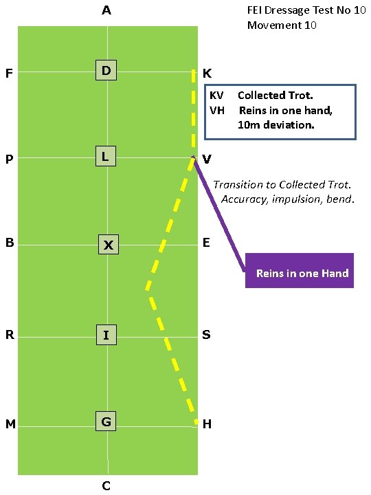 FEI Dressage Test No 10 Movement 10 A F D K KV VH P