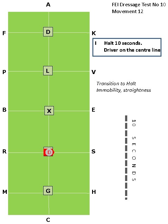 FEI Dressage Test No 10 Movement 12 A F D K I P L