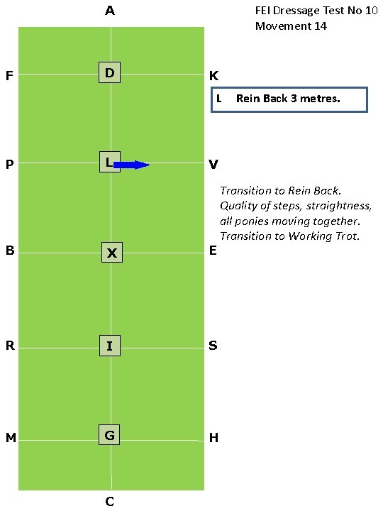 FEI Dressage Test No 10 Movement 14 A F D K L P L