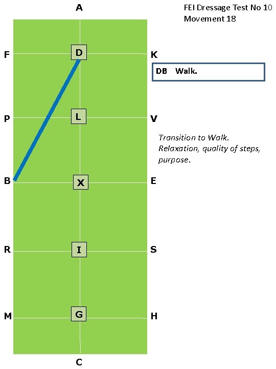 FEI Dressage Test No 10 Movement 18 A F D K DB Walk. P