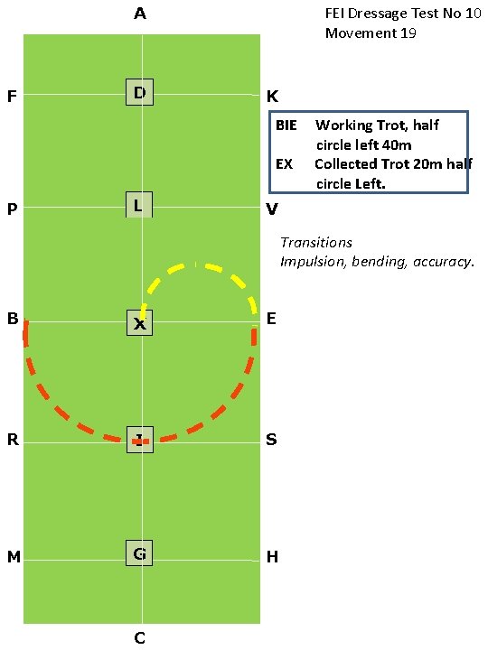 FEI Dressage Test No 10 Movement 19 A F D K BIE EX P