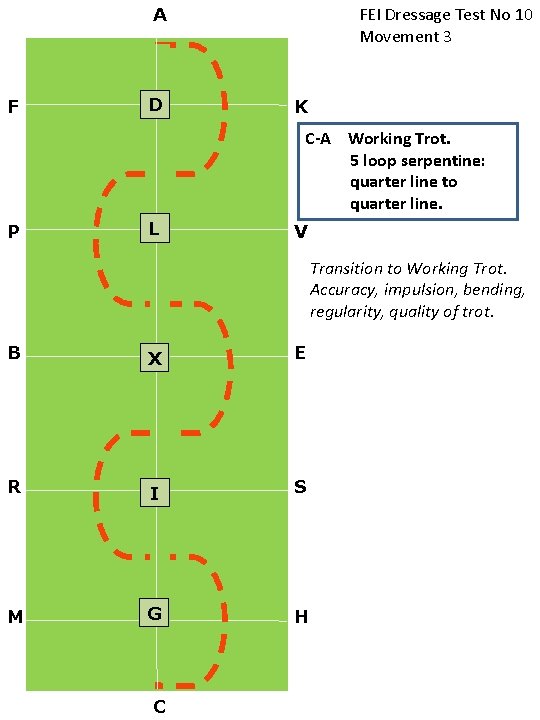 FEI Dressage Test No 10 Movement 3 A F D K C-A Working Trot.
