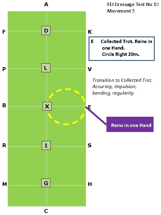 FEI Dressage Test No 10 Movement 5 A F D K E P L