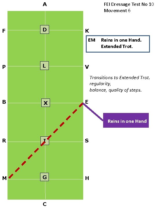 FEI Dressage Test No 10 Movement 6 A F D K EM P L