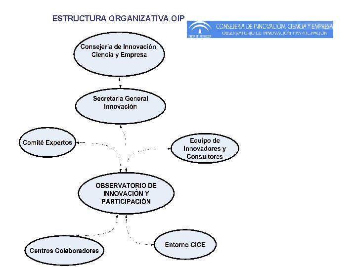 ESTRUCTURA ORGANIZATIVA OIP ESTRUCTURA ORGANIZATIVA OIP