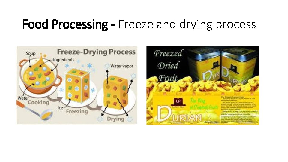 Food Processing - Freeze and drying process 