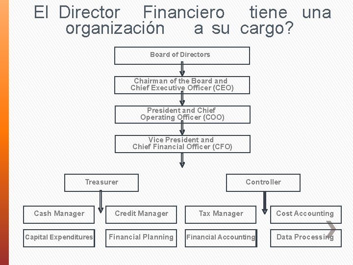 El Director Financiero tiene una organización a su cargo? Board of Directors Chairman of