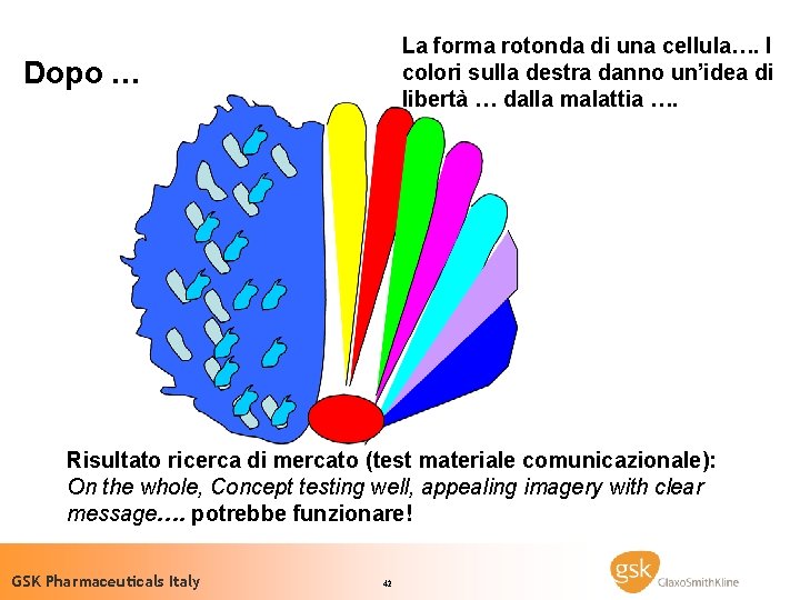 La forma rotonda di una cellula…. I colori sulla destra danno un’idea di libertà