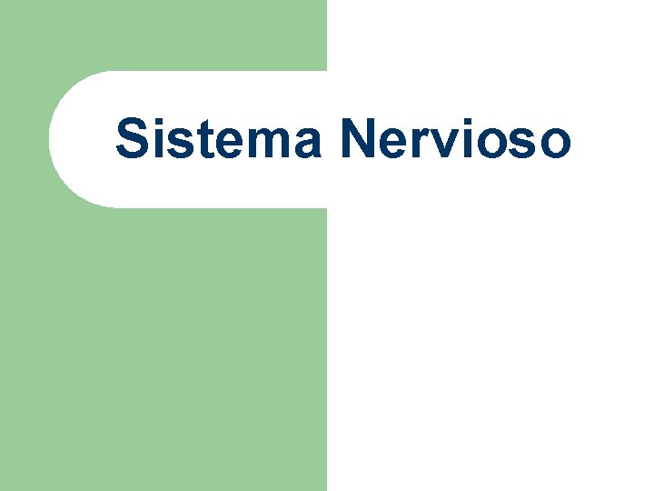 Sistema Nervioso Sistema Nervioso
