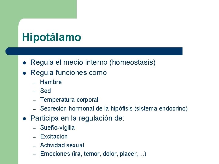 Hipotálamo l l Regula el medio interno (homeostasis) Regula funciones como – – l Hipotálamo l l Regula el medio interno (homeostasis) Regula funciones como – – l