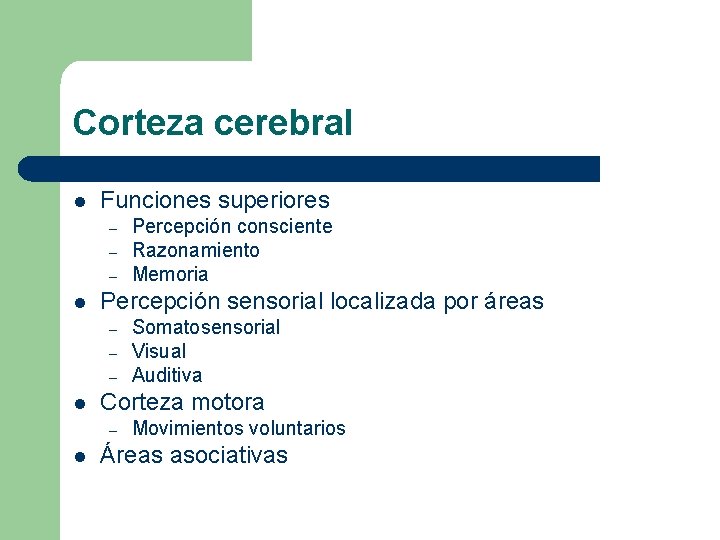 Corteza cerebral l Funciones superiores – – – l Percepción sensorial localizada por áreas Corteza cerebral l Funciones superiores – – – l Percepción sensorial localizada por áreas