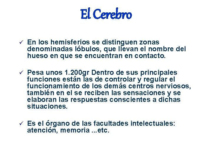 El Cerebro ü En los hemisferios se distinguen zonas denominadas lóbulos, que llevan el El Cerebro ü En los hemisferios se distinguen zonas denominadas lóbulos, que llevan el