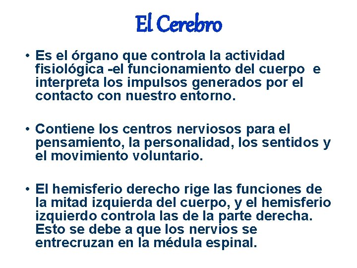 El Cerebro • Es el órgano que controla la actividad fisiológica -el funcionamiento del El Cerebro • Es el órgano que controla la actividad fisiológica -el funcionamiento del