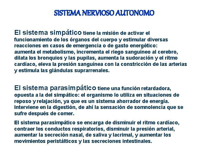 SISTEMA NERVIOSO AUTONOMO El sistema simpático tiene la misión de activar el funcionamiento de SISTEMA NERVIOSO AUTONOMO El sistema simpático tiene la misión de activar el funcionamiento de