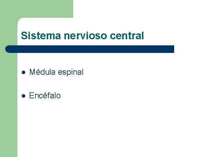 Sistema nervioso central l Médula espinal l Encéfalo Sistema nervioso central l Médula espinal l Encéfalo