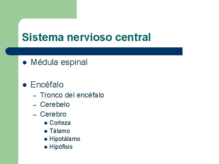Sistema nervioso central l Médula espinal l Encéfalo – – – Tronco del encéfalo Sistema nervioso central l Médula espinal l Encéfalo – – – Tronco del encéfalo