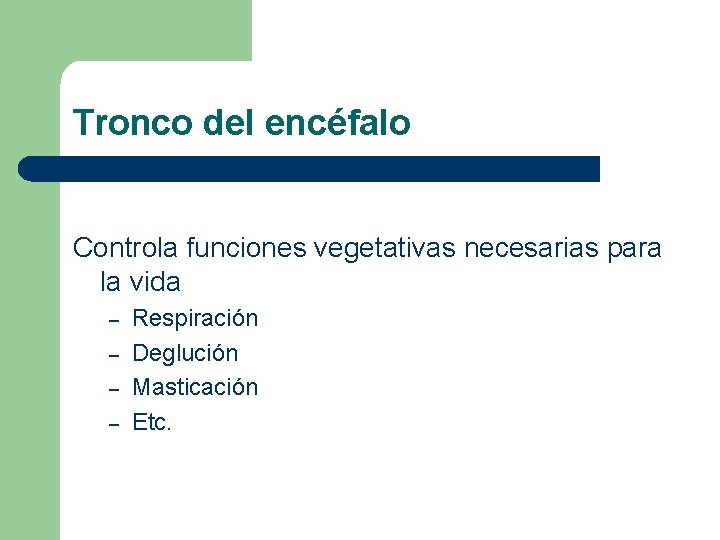 Tronco del encéfalo Controla funciones vegetativas necesarias para la vida – – Respiración Deglución Tronco del encéfalo Controla funciones vegetativas necesarias para la vida – – Respiración Deglución