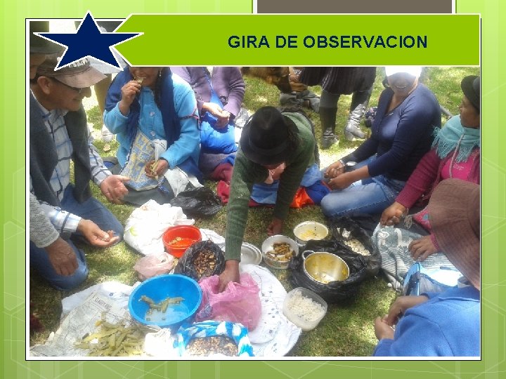 GIRA DE OBSERVACION 