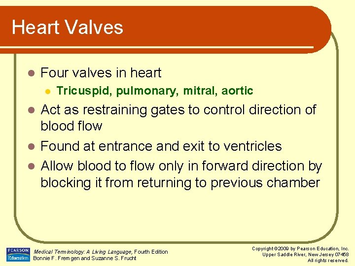 Heart Valves l Four valves in heart l Tricuspid, pulmonary, mitral, aortic Act as