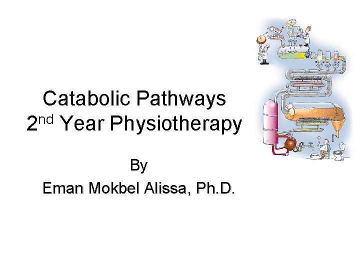 Catabolic Pathways 2 nd Year Physiotherapy By Eman Mokbel Alissa, Ph. D. 