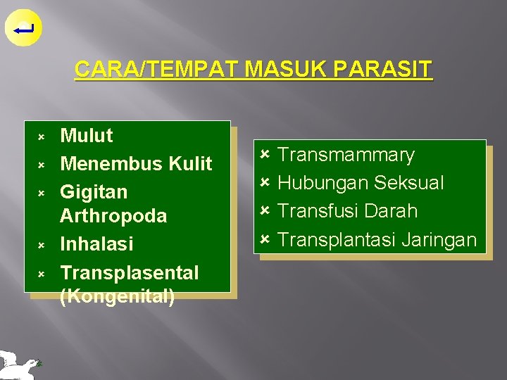 CARA/TEMPAT MASUK PARASIT û û û Mulut Menembus Kulit Gigitan Arthropoda Inhalasi Transplasental (Kongenital)