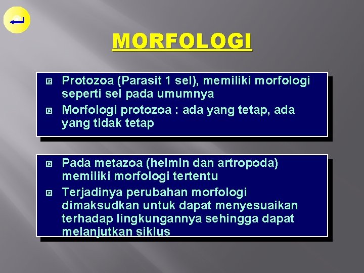 MORFOLOGI ý ý Protozoa (Parasit 1 sel), memiliki morfologi seperti sel pada umumnya Morfologi