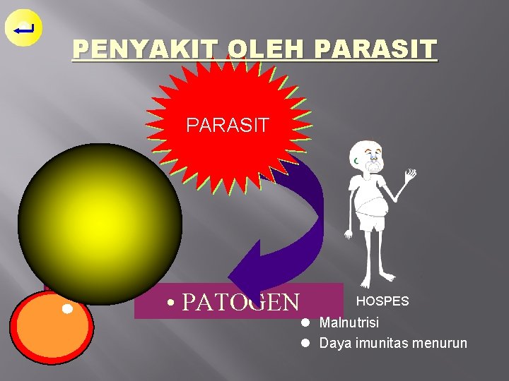 PENYAKIT OLEH PARASIT • PATOGEN HOSPES l Malnutrisi l Daya imunitas menurun 