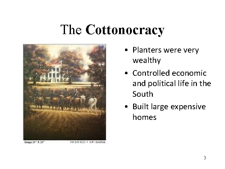 The Cottonocracy • Planters were very wealthy • Controlled economic and political life in