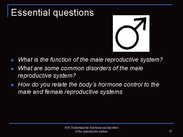Essential questions n n n What is the function of the male reproductive system?