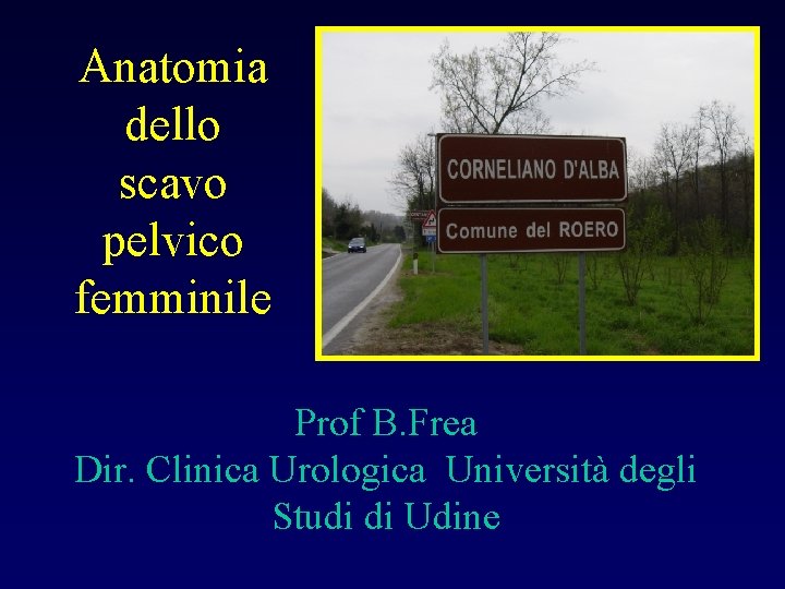 Anatomia dello scavo pelvico femminile Prof B. Frea Dir. Clinica Urologica Università degli Studi
