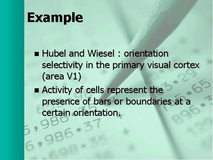 Example Hubel and Wiesel : orientation selectivity in the primary visual cortex (area V