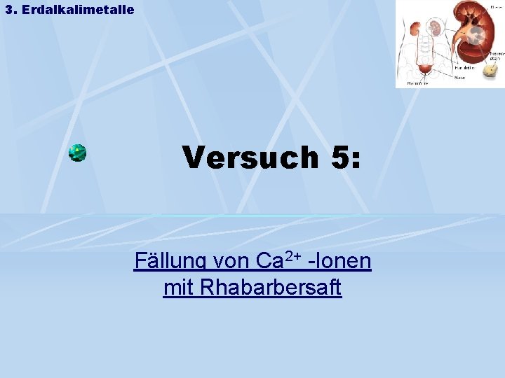 3. Erdalkalimetalle Versuch 5: Fällung von Ca 2+ -Ionen mit Rhabarbersaft 