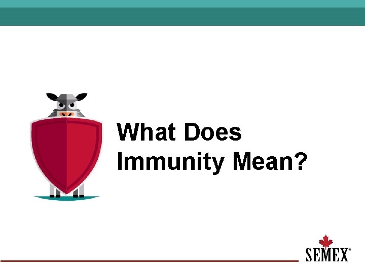 What Does Immunity Mean? 